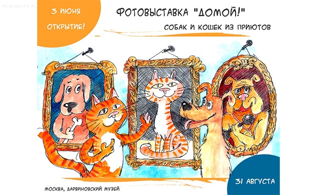 Выставка фотографий приютских собак и кошек «Домой!»
