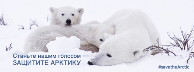 В борьбе за сохранение прекрасной Арктики нам необходим Ваш голос!